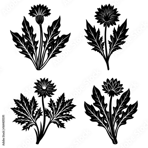 Four stylized dandelion flower arrangements with detailed leaves in black and white vector format design