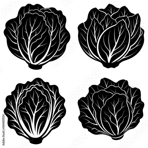 Four cabbage heads in black and white with detailed leaf venation and textured outer leaves design style
