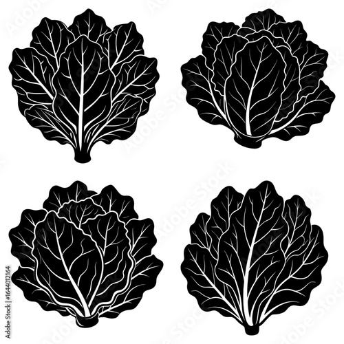 Four black and white stylized cabbage heads with detailed leaf veins on a white background in a square layout