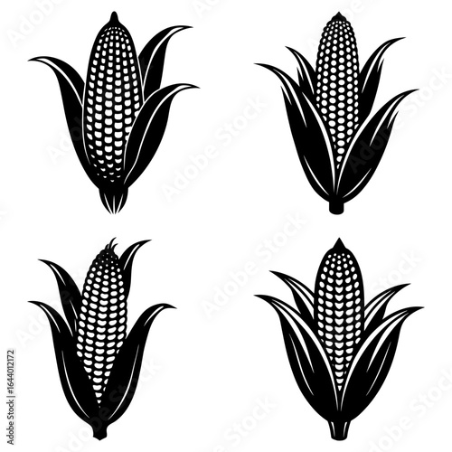 Four black and white corn cobs with husks arranged in a symmetrical pattern on a white background