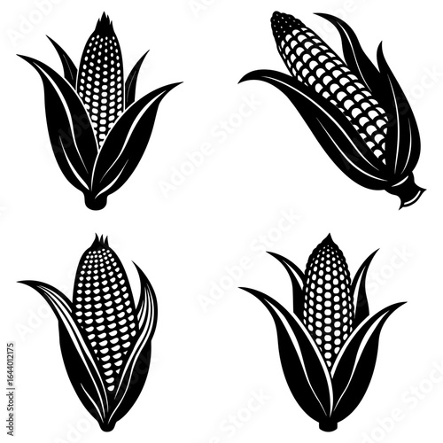 Four black and white corn cobs with husks in varying positions on a white background image design