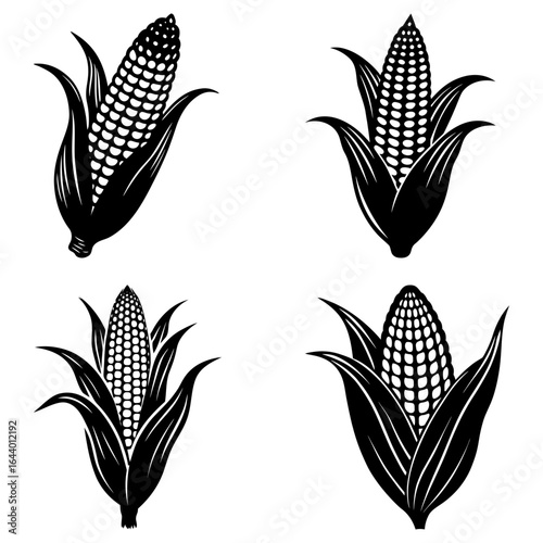 Four black and white corn cobs with husks in varying orientations and stages of harvest illustration