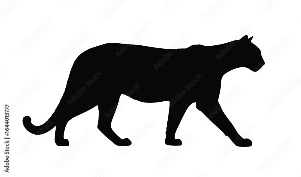 Obraz premium Elegant black panther silhouette walking gracefully, perfect for wildlife art, logo, and design projects
