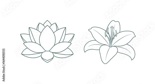 Elegant Lotus and Lily Flower Outlines Minimalist Floral Designs