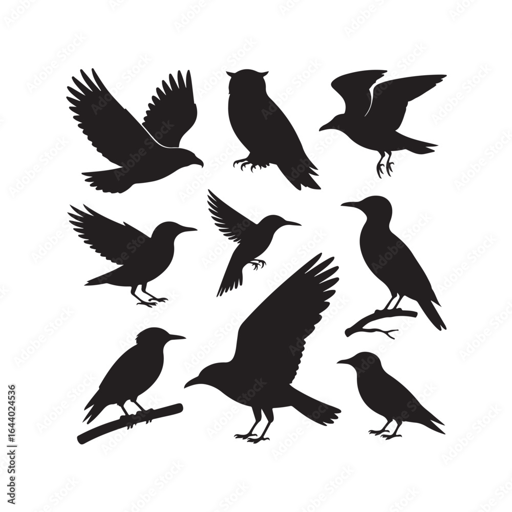 Obraz premium Collection of silhouetted birds in various poses and flight styles