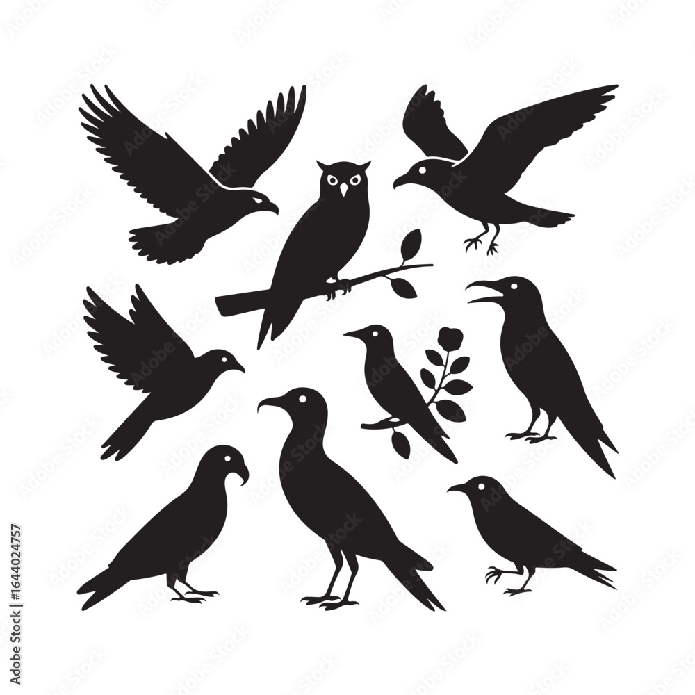 Obraz premium Collection of silhouetted birds in various poses against a white background Vector Art