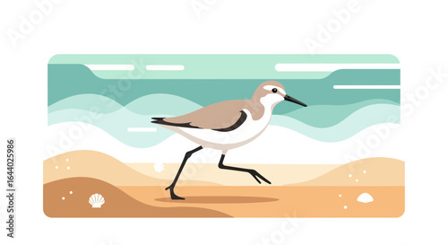 Cartoon illustration of a sandpiper bird running on the beach, depicting coastal wildlife in a minimalist style