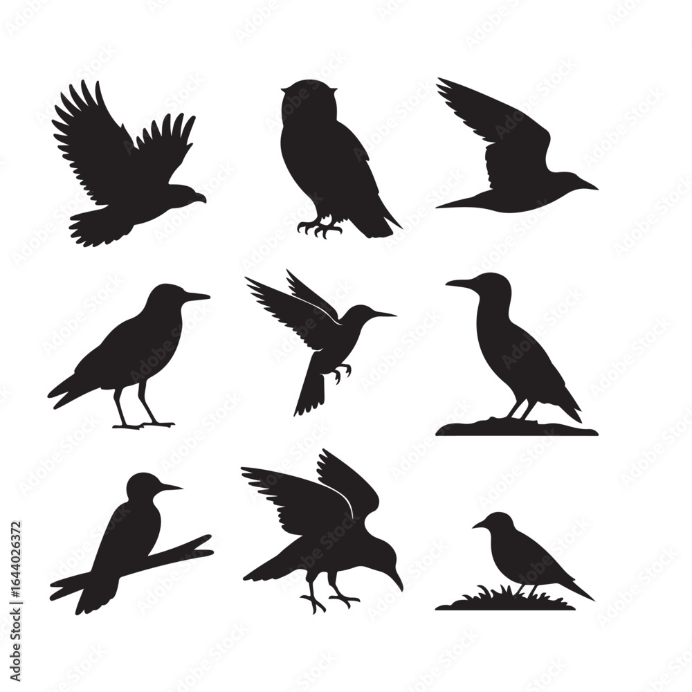 Obraz premium Collection of silhouetted birds in various poses against a white background