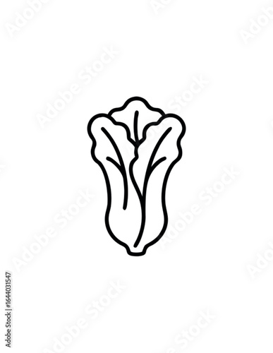 A romaine lettuce icon line art vector illustration.