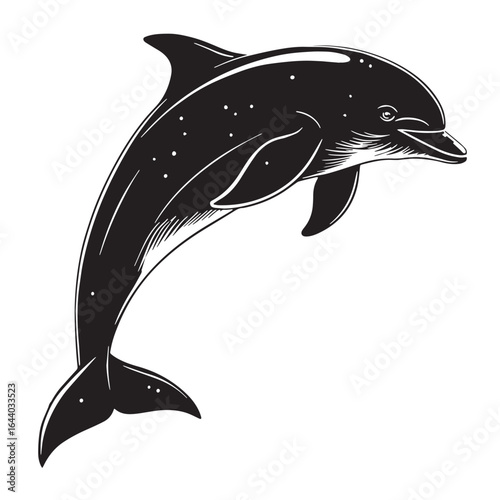 black dolphin Silhouette Vector, High Quality Illustration on White Background
