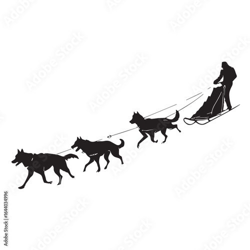  black dog sledding Silhouette Vector, High Quality Illustration on White Background