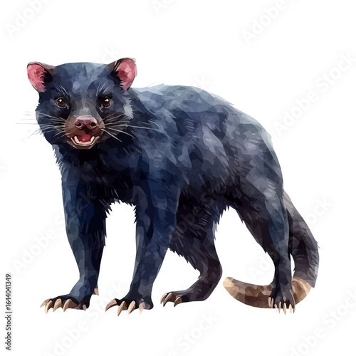 Tasmanian Devil, watercolor painting vector, isolated on a white background.