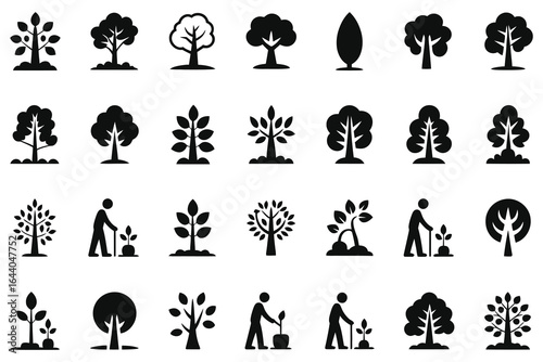 Vector set of tree silhouettes black icons holiday nature design illustration