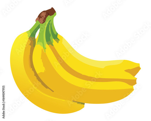 A Single Bunch of Fresh Yellow Bananas - Vector Illustration