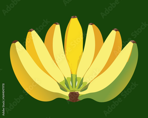 A Large Bunch of Bananas Ready for Harvest - Vector Illustration