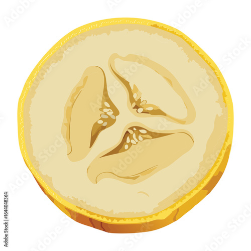 Detailed Cross Section of a Banana Showing the Inner Seeds - Vector Illustration