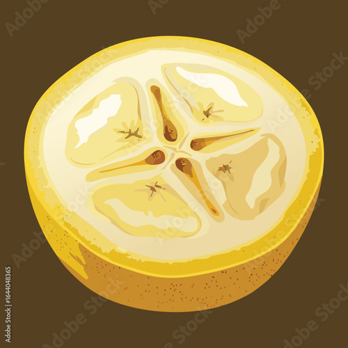 A Cross Section of a Banana on a Dark Brown Background - Vector Illustration