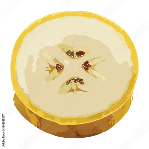 Detailed Cross Section of a Banana Showing the Inner Structure - Vector Illustration