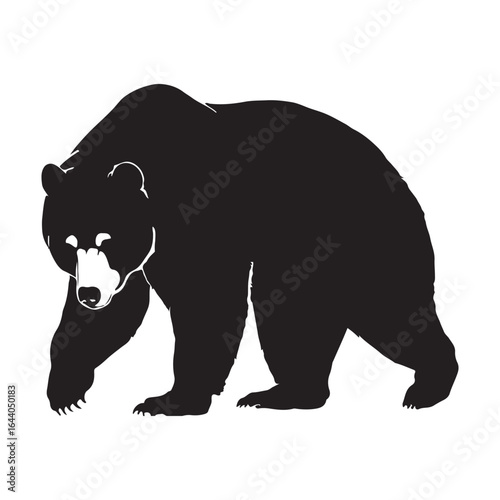 Black Silhouette of a Walking Bear on White Background animal wildlife