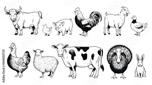 Diverse Collection of Farm Animals in Black and White Illustration Style Ideal for Educational Material or Vintage Design Projects with Livestock Depicted