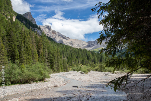 Fotografi Il torrente Ruf de Contrin in Val Contrin e il panorama delle Dolomiti in Val di