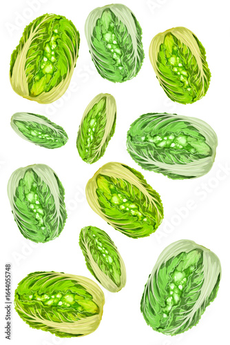 collection of fresh white cabbage falling without background