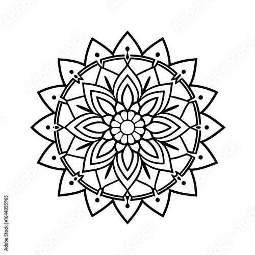 Abstract floral vector illustration with round lace ornament and decorative nature elements