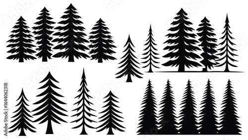 Silhouette Illustration of Various Pine and Evergreen Trees in Groups, Black Forest Tree Vector Art for Nature, Landscape, and Outdoor Wilderness Designs