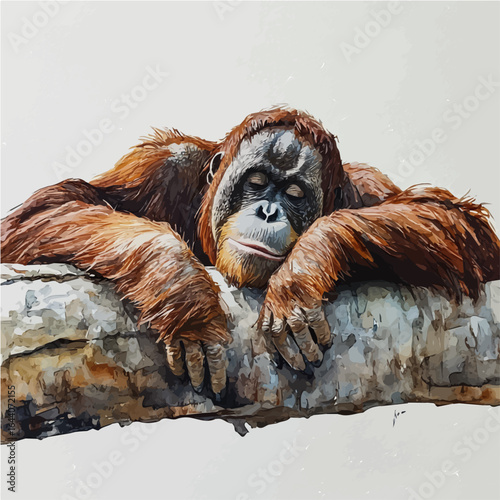 Orangutan, watercolor clipart vector, isolated on a white background.