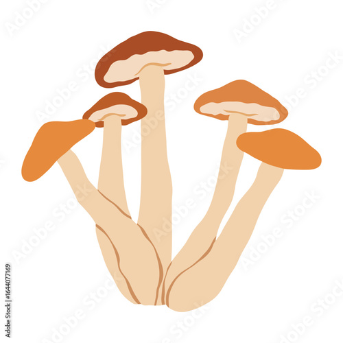 Honey mushroom simple minimalist vector illustration. Autumn mushroom harvest. Wilde poisonous fungus.