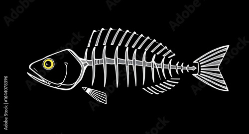 fish anatomy bones, skeletal fish, dead fish bones, fish fossil, fish skeleton clipart, fish skeleton silhouette, fishbone art, cartoon fish skeleton, fish bones logo, stylized fish skeleton, marine s