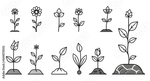 eco plants vector, abstract plants vector, ornamental plants set, silhouette plants vector, greenery vector, tropical leaves set, nature vector plants, jungle plants vector, vector foliage set, minima