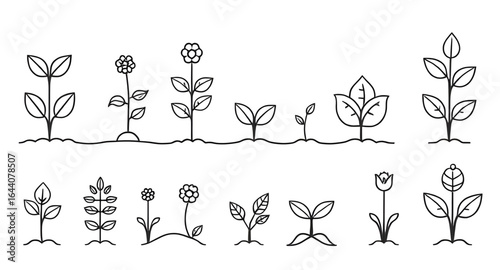 abstract plants vector, ornamental plants set, silhouette plants vector, greenery vector, tropical leaves set, nature vector plants, jungle plants vector, vector foliage set, minimalist plant vector, 