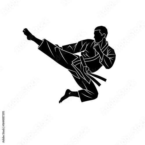 Dynamic martial artist executing a high kick in a striking black-and-white silhouette illustration