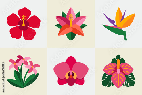 Tropical flower icon set, hibiscus plumeria orchid, bird of paradise bloom, bright exotic collection, botanical vector