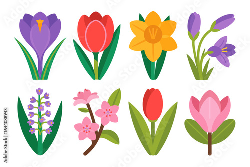 Tulip crocus daffodil icons, lavender lily and spring stem vector, garden flower illustration, soft color flat style, botanical decor elements