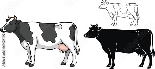 Cow vector illustration farm animal dairy cattle black and white
