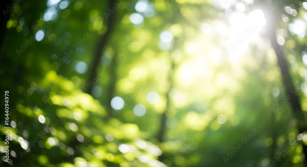 Obraz premium Photo of blurred sunlight shining through trees in green forest
