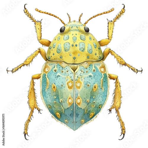 Louse, watercolor vector, isolated on a white background.