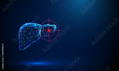 Targeted human liver in crosshair. Liver treatment, diagnostics, targeted therapy, hepatology, oncology, medical research concept.