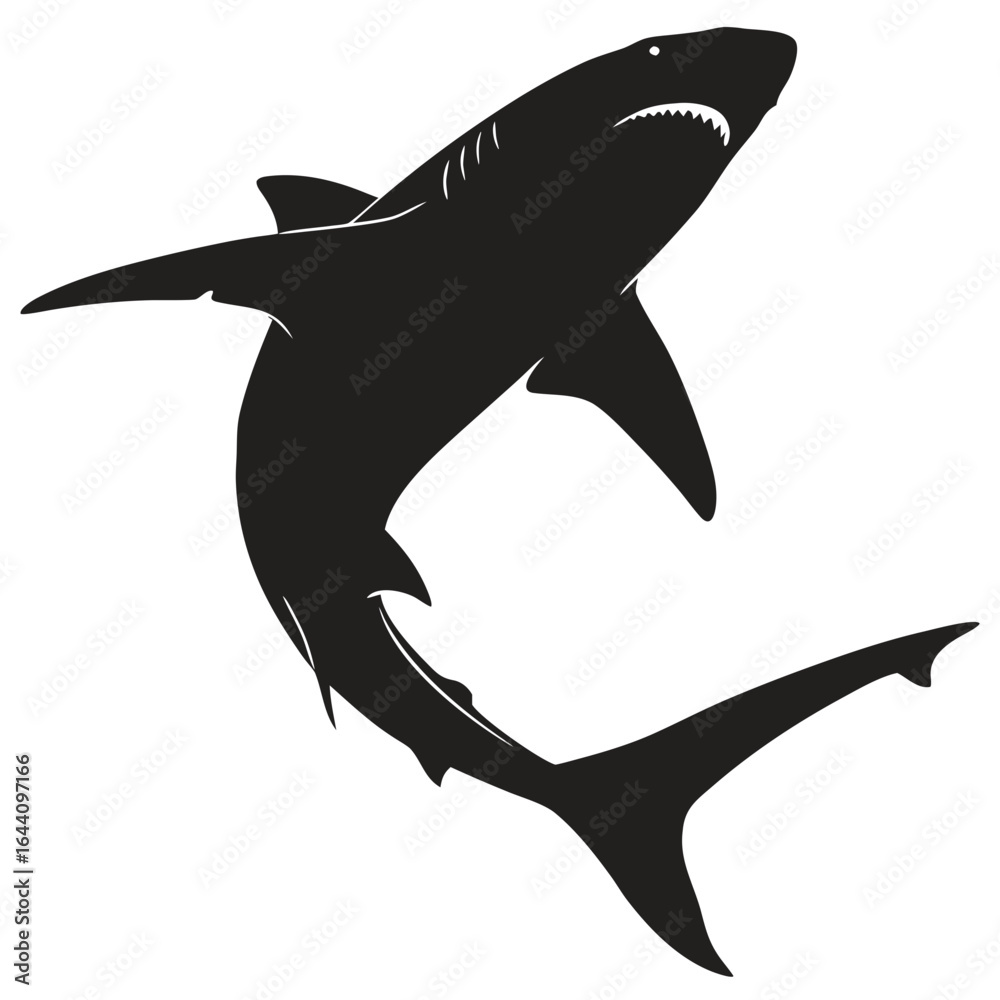 Obraz premium shark vector illustration
