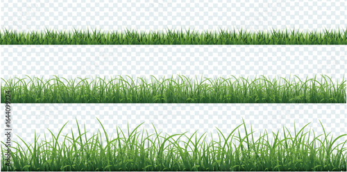 Green Grass Isolate Transparent Background