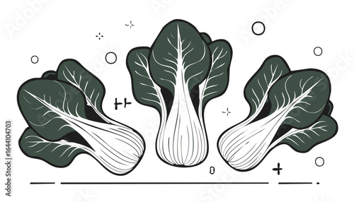 Bok choy vegetable isolated on transparent png vector.food, vegetable, cookery, isolated, white, green, healthy, leaf, asian, background, closeup, diet, fresh, organic, bok choy, horizontal, leafy, 