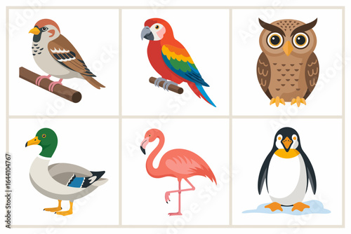 Woodland bird pack, owl woodpecker thrush chickadee, forest avian vector, educational wildlife clipart, birdwatching element