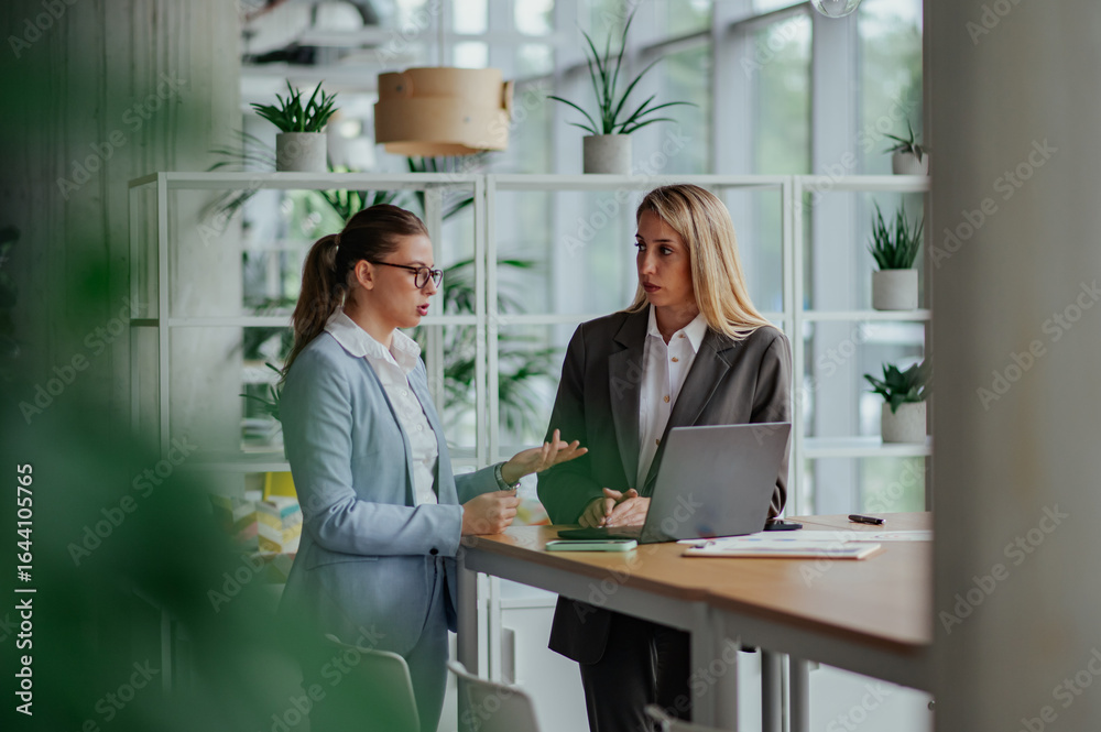 Obraz premium Businesswomen discussing work at table with laptop in modern office
