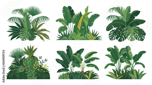 Tropical plant collection featuring lush green foliage for decoration and design projects including banana leaves and palm trees isolated on white
