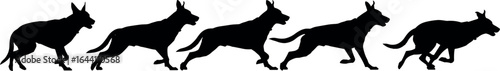 German Shepherd dog running, silhouette motion sequence, dynamic animal movement, black and white vector, canine illustration, capture art