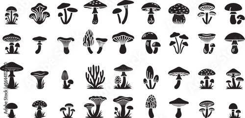 Collection of Black Mushroom Silhouettes fungi nature