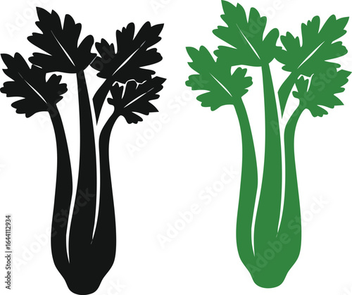 Vector illustration of a fresh bunch of green celery leaves, an organic, raw vegetable ingredient on a white background