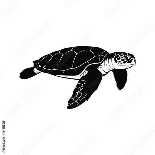 Sea Turtle Silhouette Black and White Vector Illustration Aquatic Animal Graphic